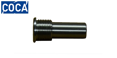 Bearing screw